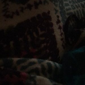 Meet your Posher, Coyette